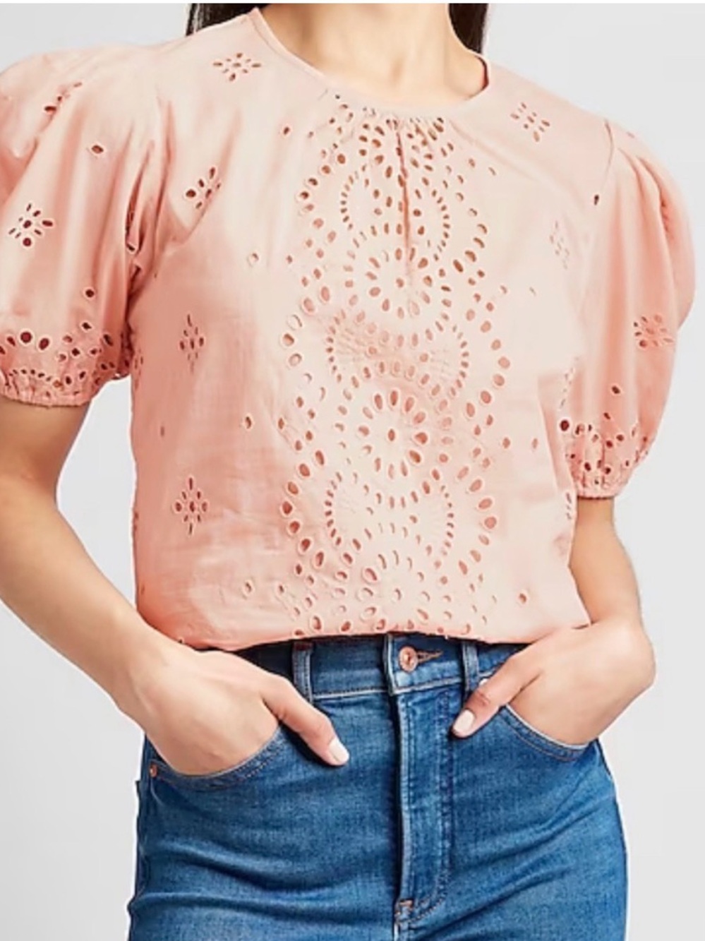 Express Embroidered Eyelet Lace Puff Sleeve Top Pale Pink Size Medium